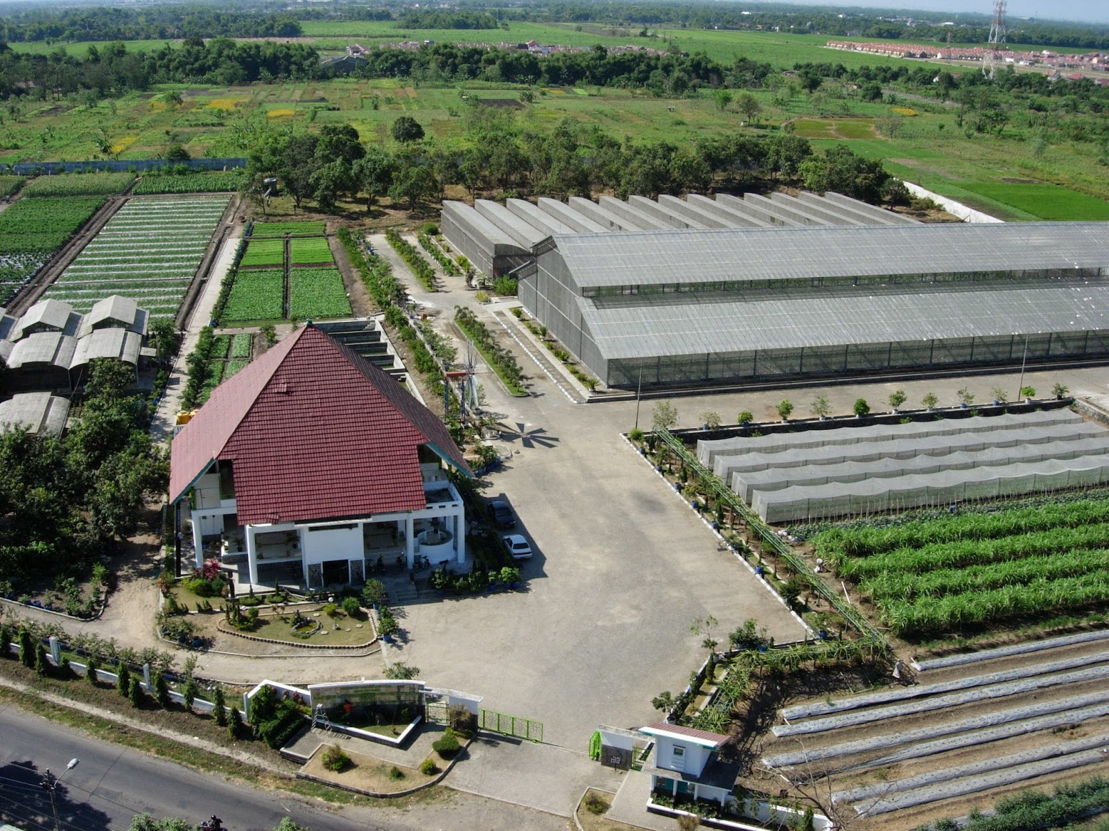 Foto Mitra